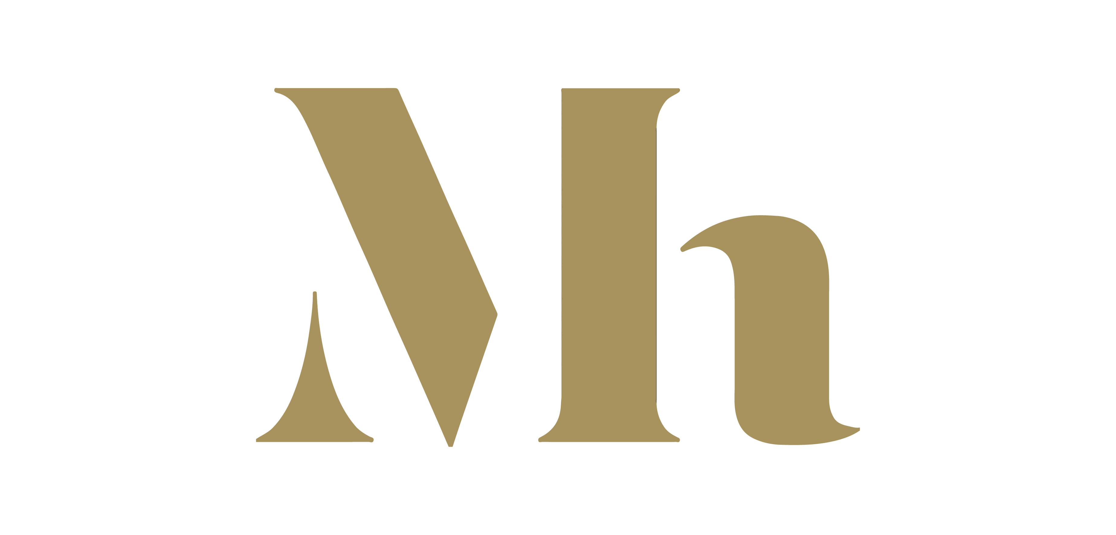 Het Mauritshuis